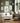 Matisse Pose Gallery Print Set