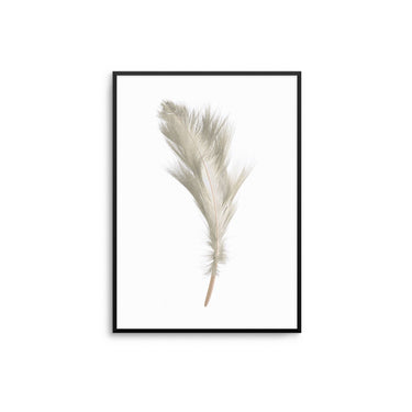 Beige Feather II - D'Luxe Prints