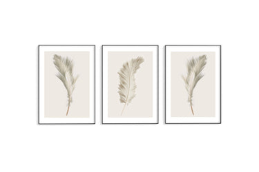 Beige Feather Trio Set II - D'Luxe Prints