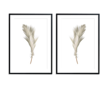 Beige Mirrored Feather Set - D'Luxe Prints