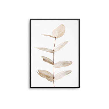 Beige Plant - D'Luxe Prints