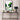 Bird Of Paradise Palm - D'Luxe Prints