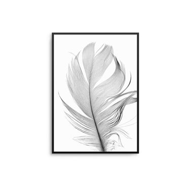 Black Feather - D'Luxe Prints