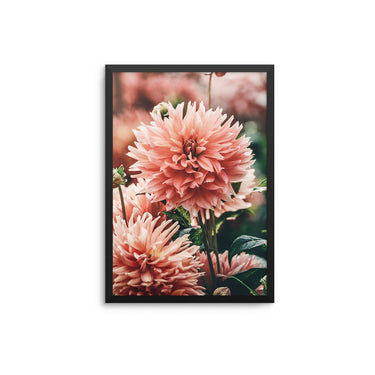 Blush Pink Flowers - D'Luxe Prints