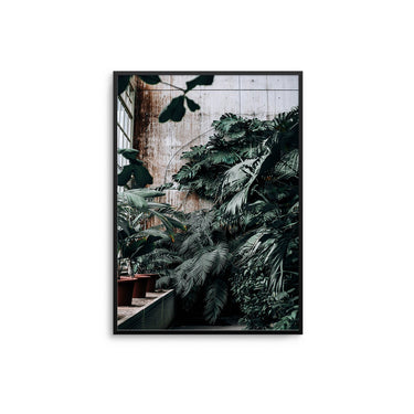 Botanical Greenhouse - D'Luxe Prints