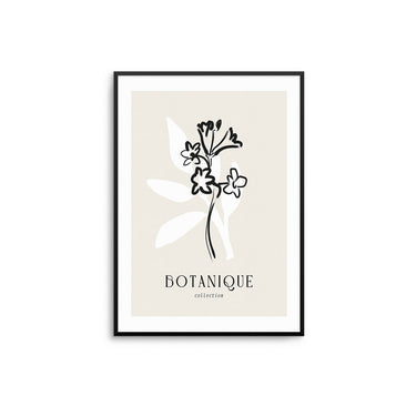 Botanique Collection - D'Luxe Prints
