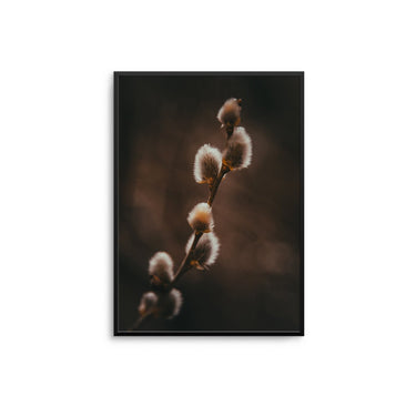 Budding Cotton II - D'Luxe Prints