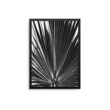 Exotic Palm Monochrome - D'Luxe Prints