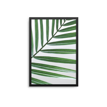 Green Leaves Close Up - D'Luxe Prints