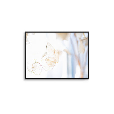 Hazy Lunaria - D'Luxe Prints