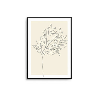 King Protea - D'Luxe Prints