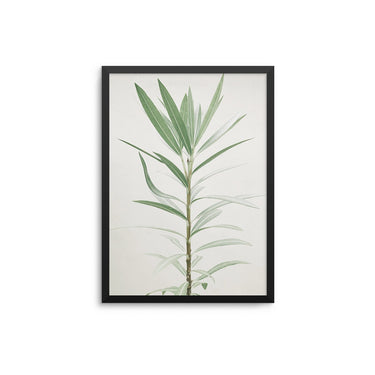 Minimal Plant - D'Luxe Prints