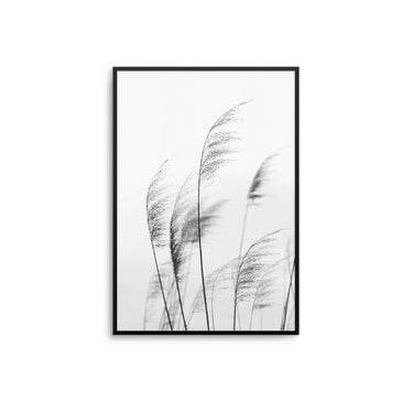 Mono Pampas - D'Luxe Prints