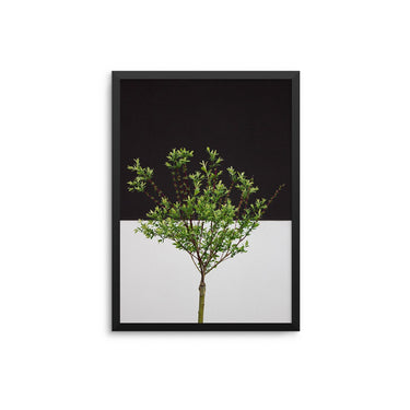 Monochrome Tree - D'Luxe Prints
