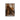Moroccan Staircase - D'Luxe Prints