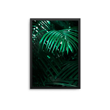 Palms - D'Luxe Prints