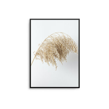 Pampas Arch - D'Luxe Prints