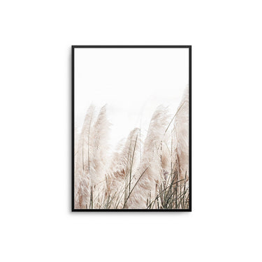 Pampas Breeze II - D'Luxe Prints