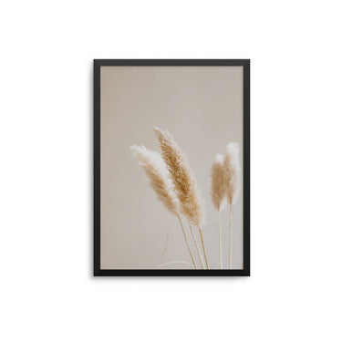 Pampas Close Up - D'Luxe Prints