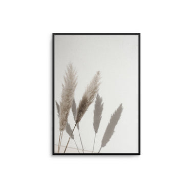 Pampas Shadows - D'Luxe Prints