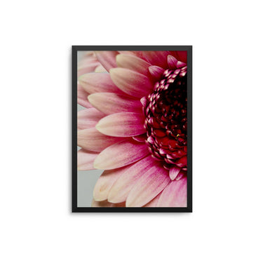 Pink Half Flower - D'Luxe Prints