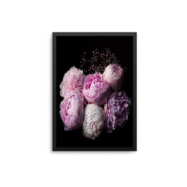 Pink Peonies Blackout - D'Luxe Prints