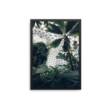 Tropical Greenhouse - D'Luxe Prints