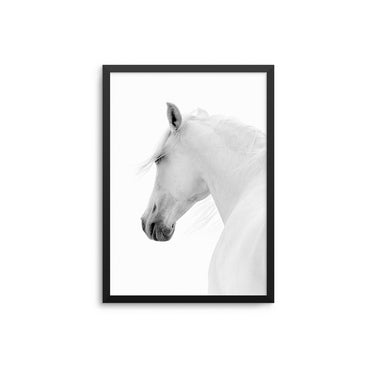 White Horse - D'Luxe Prints