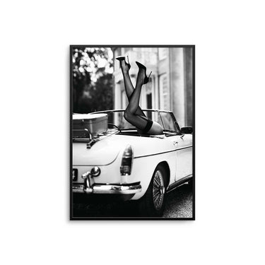 Wild Ride - D'Luxe Prints