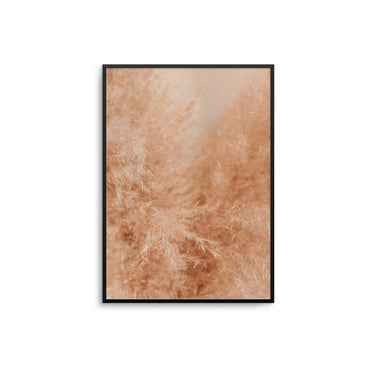 Wispy Pampas - D'Luxe Prints