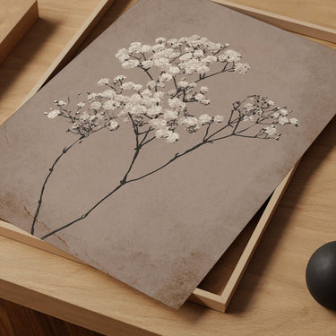Baby's Breath Plant III Poster