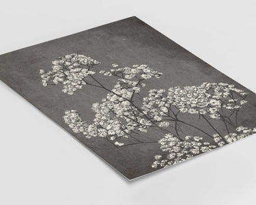 Baby's Breath Plant II Print