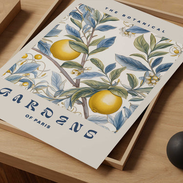 Gardens Of Paris Print