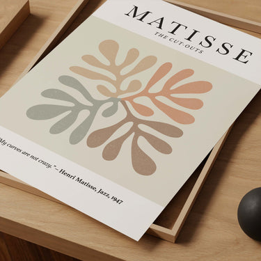 Matisse Curves Poster