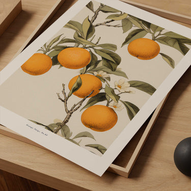 Orange Tree Print