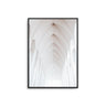 Architectural Arch - D'Luxe Prints