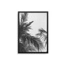 Arecaceae Leaf Monochrome - D'Luxe Prints