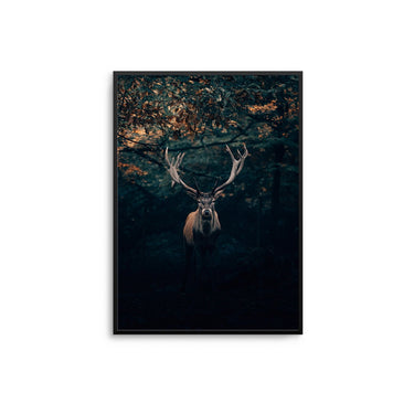 Autumn Deer - D'Luxe Prints