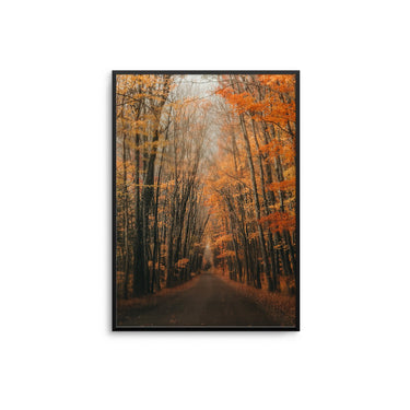 Autumn Trees - D'Luxe Prints