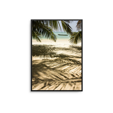 Beach Palm Shadows - D'Luxe Prints