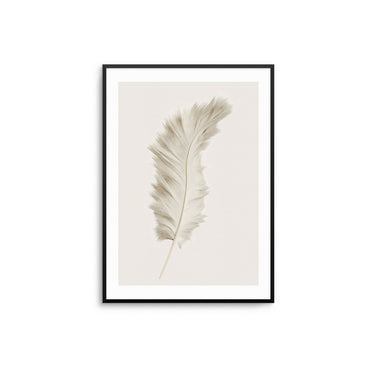 Beige Feather - D'Luxe Prints