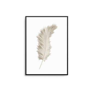 Beige Feather - D'Luxe Prints