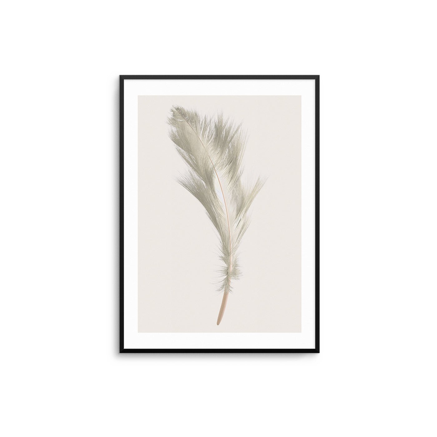 Beige Feather II - D'Luxe Prints