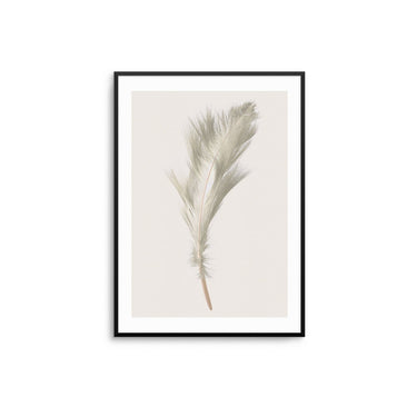 Beige Feather III - D'Luxe Prints