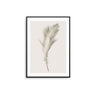 Beige Feather III - D'Luxe Prints