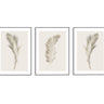 Beige Feather Trio Set II - D'Luxe Prints
