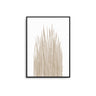 Beige Grass - D'Luxe Prints