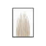 Beige Grass - D'Luxe Prints