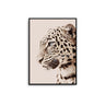 Beige Leopard - D'Luxe Prints