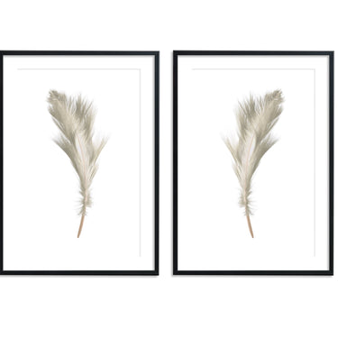 Beige Mirrored Feather Set - D'Luxe Prints